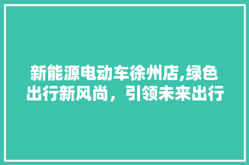 新能源电动车徐州店,绿色出行新风尚，引领未来出行潮流  第1张