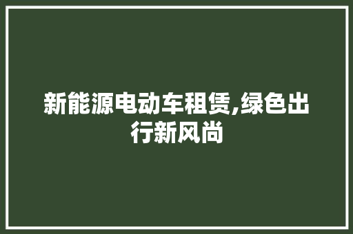 新能源电动车租赁,绿色出行新风尚  第1张