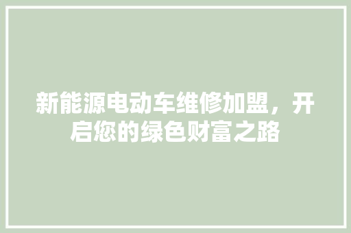 新能源电动车维修加盟，开启您的绿色财富之路  第1张