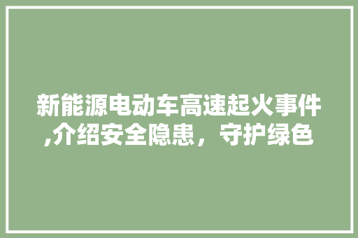 新能源电动车高速起火事件,介绍安全隐患，守护绿色出行  第1张