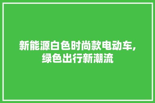 新能源白色时尚款电动车,绿色出行新潮流  第1张