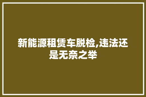 新能源租赁车脱检,违法还是无奈之举  第1张