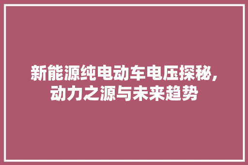 新能源纯电动车电压探秘,动力之源与未来趋势