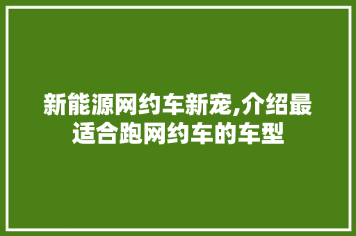 新能源网约车新宠,介绍最适合跑网约车的车型  第1张