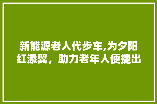 新能源老人代步车,为夕阳红添翼，助力老年人便捷出行  第1张