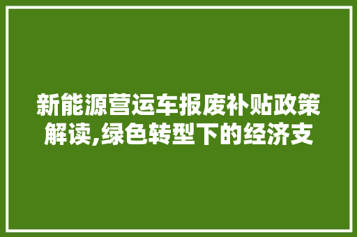 新能源营运车报废补贴政策解读,绿色转型下的经济支持