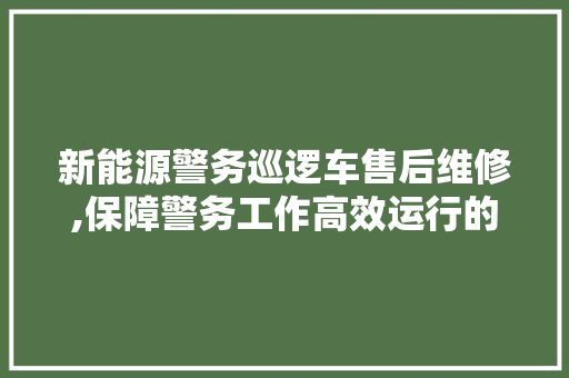 新能源警务巡逻车售后维修,保障警务工作高效运行的关键一环