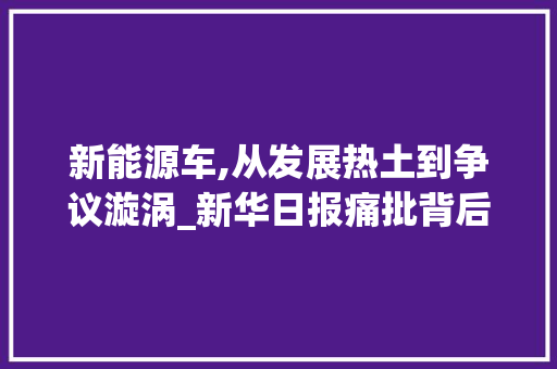 新能源车,从发展热土到争议漩涡_新华日报痛批背后的深思  第1张