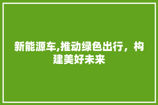 新能源车,推动绿色出行，构建美好未来  第1张