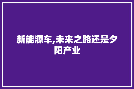 新能源车,未来之路还是夕阳产业  第1张