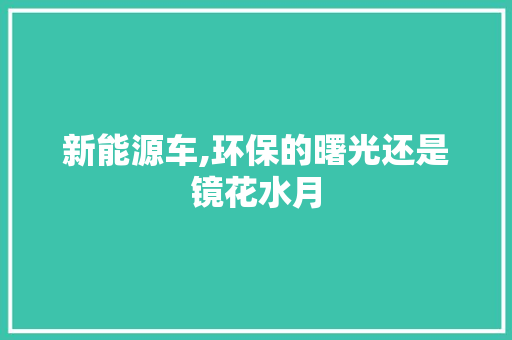 新能源车,环保的曙光还是镜花水月  第1张