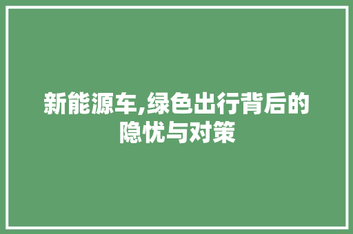 新能源车,绿色出行背后的隐忧与对策  第1张