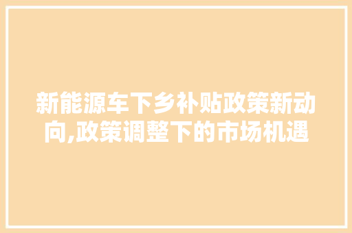 新能源车下乡补贴政策新动向,政策调整下的市场机遇  第1张