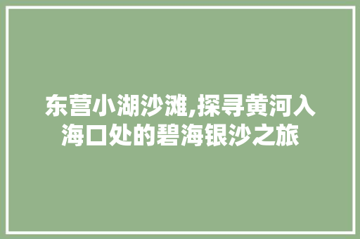 东营小湖沙滩,探寻黄河入海口处的碧海银沙之旅