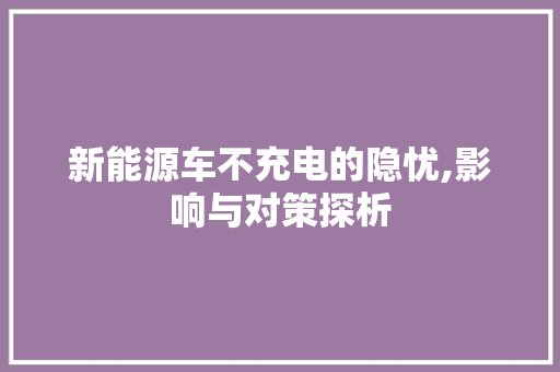 新能源车不充电的隐忧,影响与对策探析  第1张