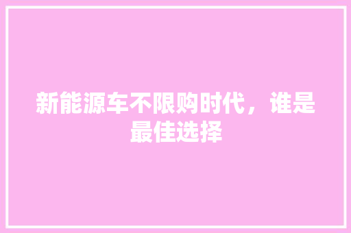 新能源车不限购时代，谁是最佳选择  第1张