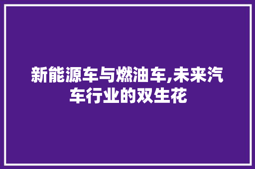 新能源车与燃油车,未来汽车行业的双生花  第1张