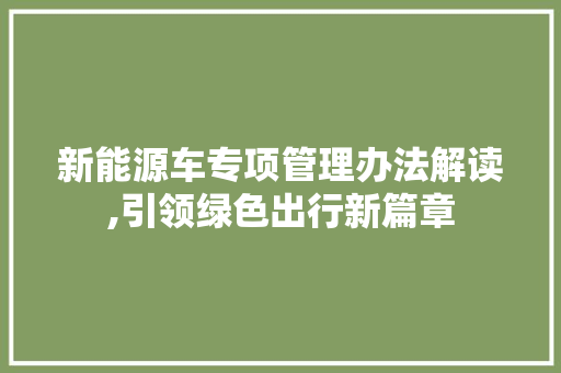 新能源车专项管理办法解读,引领绿色出行新篇章  第1张