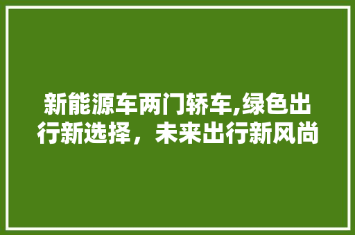 新能源车两门轿车,绿色出行新选择，未来出行新风尚  第1张