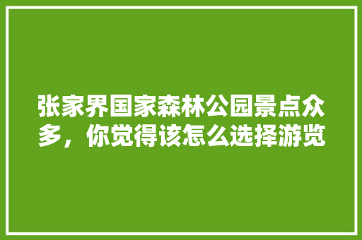 张家界国家森林公园景点众多，你觉得该怎么选择游览路线呢，张家界旅游景点路线图简易。  第1张