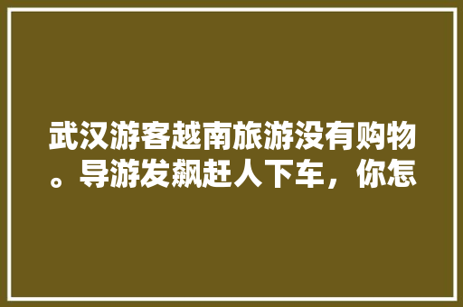 武汉游客越南旅游没有购物。导游发飙赶人下车，你怎么看，武汉到芽庄旅游团报价多少。  第1张