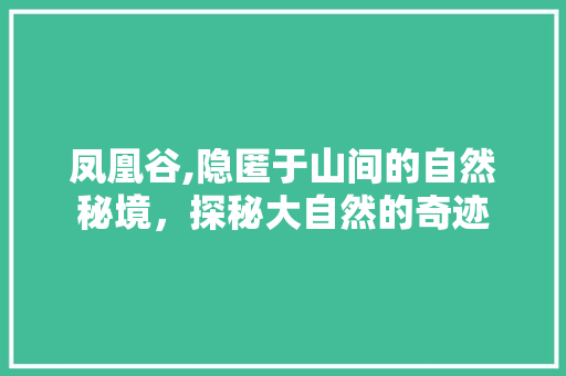 凤凰谷,隐匿于山间的自然秘境，探秘大自然的奇迹