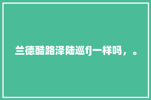 兰德酷路泽陆巡fj一样吗，。