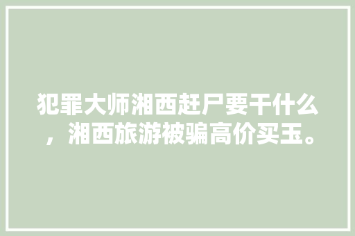 犯罪大师湘西赶尸要干什么，湘西旅游被骗高价买玉。