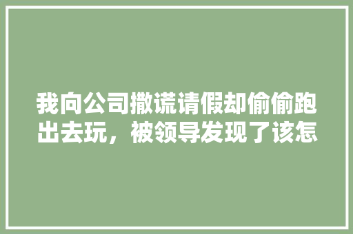 我向公司撒谎请假却偷偷跑出去玩，被领导发现了该怎么，撒谎请假旅游怎么处理。