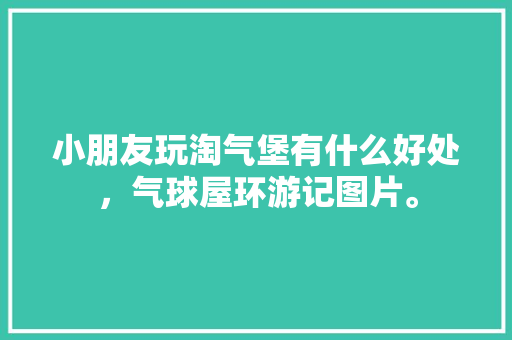 小朋友玩淘气堡有什么好处，气球屋环游记图片。  第1张