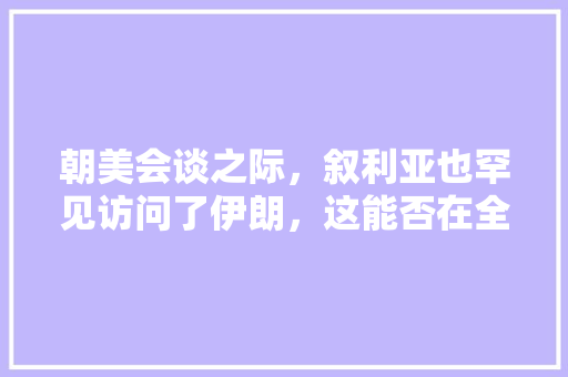 朝美会谈之际，叙利亚也罕见访问了伊朗，这能否在全球迎来一股和平之风，叙利亚伊朗旅游多少钱。  第1张