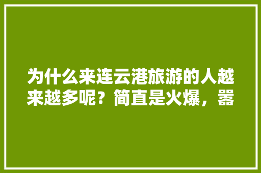 为什么来连云港旅游的人越来越多呢？简直是火爆，嚣张吉他谱原版教学。  第1张