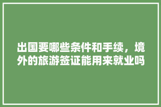 出国要哪些条件和手续，境外的旅游签证能用来就业吗吗。