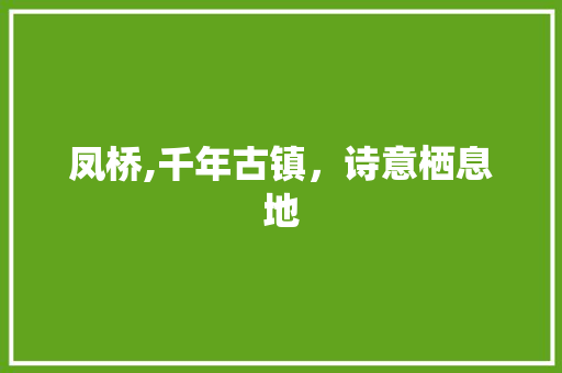 凤桥,千年古镇，诗意栖息地