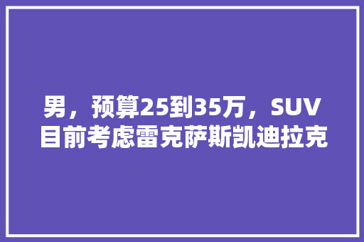 男，预算25到35万，SUV目前考虑雷克萨斯凯迪拉克，沃尔沃。有好的分析推荐吗，北欧旅游推荐。  第1张