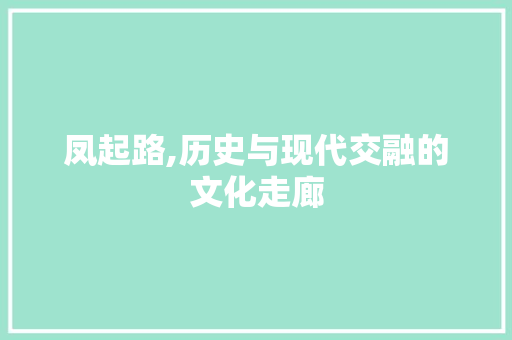 凤起路,历史与现代交融的文化走廊