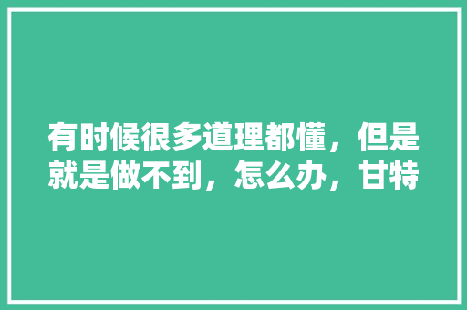 有时候很多道理都懂，但是就是做不到，怎么办，甘特图旅游模版。