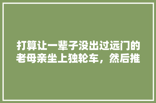 打算让一辈子没出过远门的老母亲坐上独轮车，然后推着她环球旅游，你们觉得如何，环球旅游从伊朗入境土耳其分享视频。