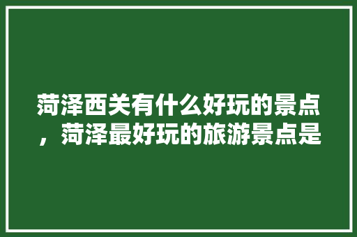 菏泽西关有什么好玩的景点，菏泽最好玩的旅游景点是哪里。