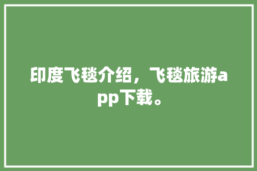 印度飞毯介绍，飞毯旅游app下载。