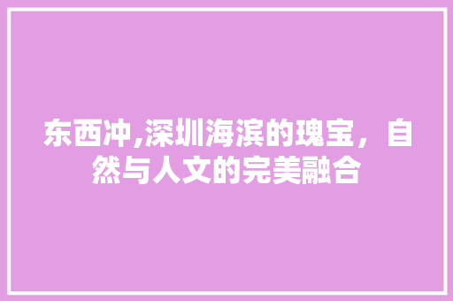 东西冲,深圳海滨的瑰宝，自然与人文的完美融合  第1张