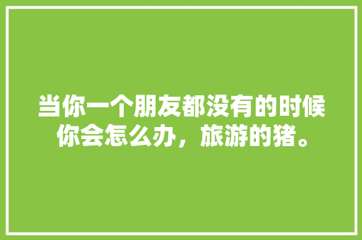 当你一个朋友都没有的时候你会怎么办，旅游的猪。