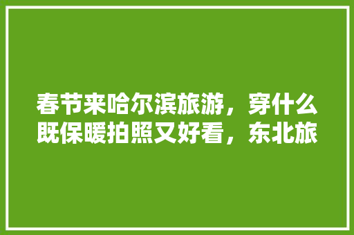 春节来哈尔滨旅游，穿什么既保暖拍照又好看，东北旅游自拍视频。