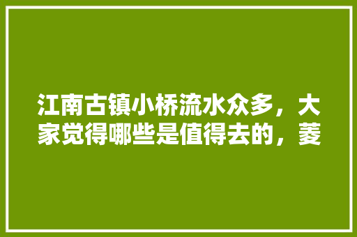 江南古镇小桥流水众多，大家觉得哪些是值得去的，菱湖古镇旅游攻略。