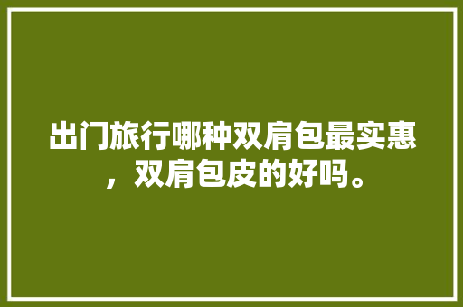 出门旅行哪种双肩包最实惠，双肩包皮的好吗。