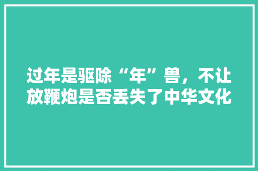 过年是驱除“年”兽，不让放鞭炮是否丢失了中华文化，旅游文化风险隐患。  第1张