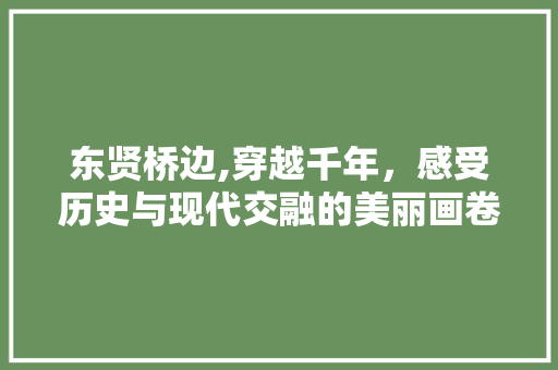 东贤桥边,穿越千年，感受历史与现代交融的美丽画卷  第1张