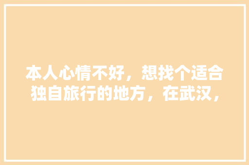 本人心情不好，想找个适合独自旅行的地方，在武汉，武汉旅游无聊怎么办。