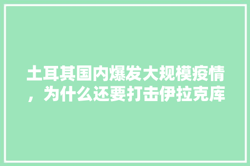 土耳其国内爆发大规模疫情，为什么还要打击伊拉克库尔德武装呢，土耳其疫情旅游政策。