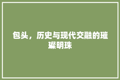 包头，历史与现代交融的璀璨明珠